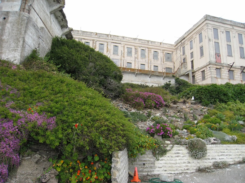 2011 Bay 2 Breakers Saturday 0770.JPG - I was able to participate in the 2011, 100th anniversary of the San Francisco Bay to Breakers 12K race. A great weekend for sight seeing and racing.